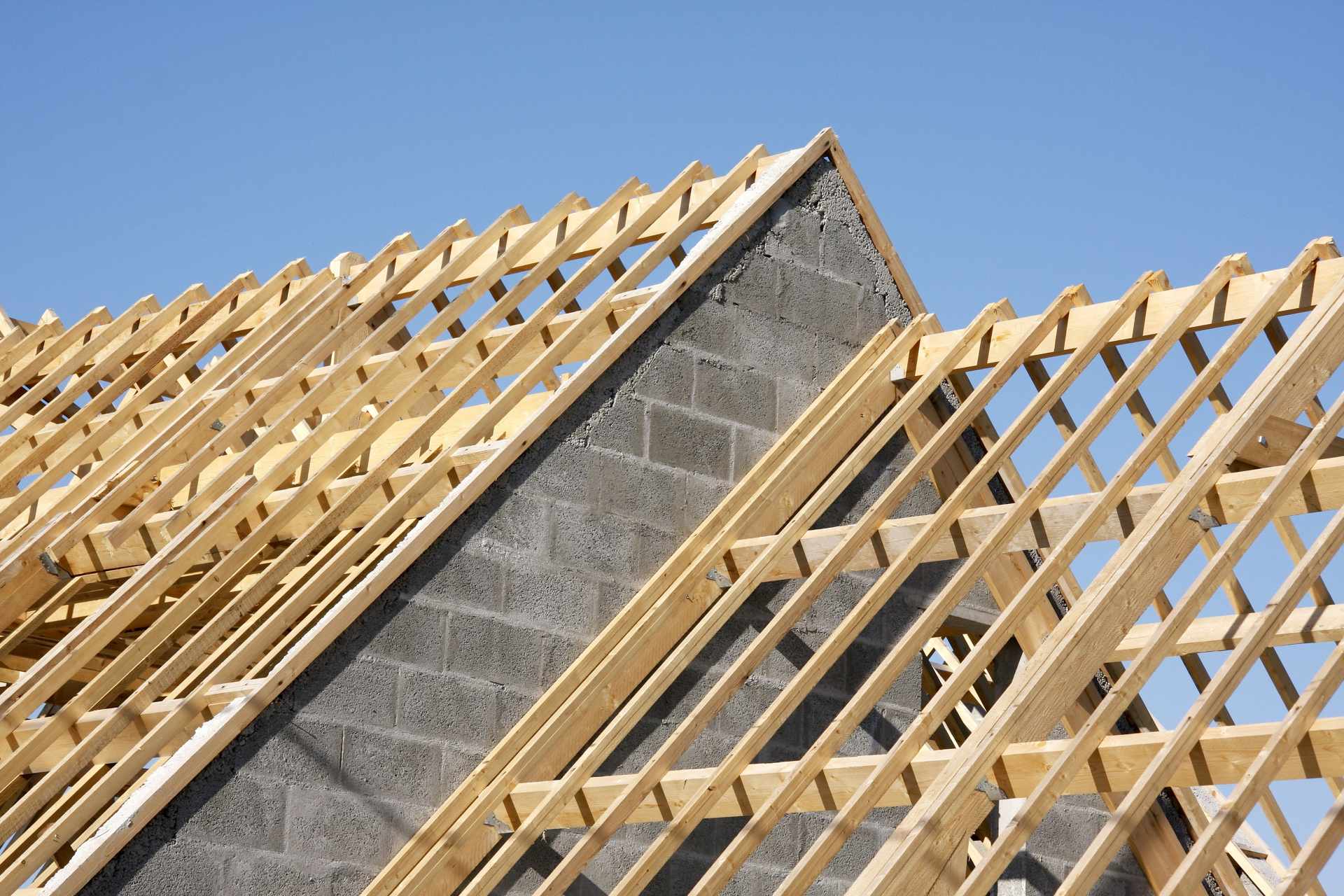 Carvalho Mario - charpente